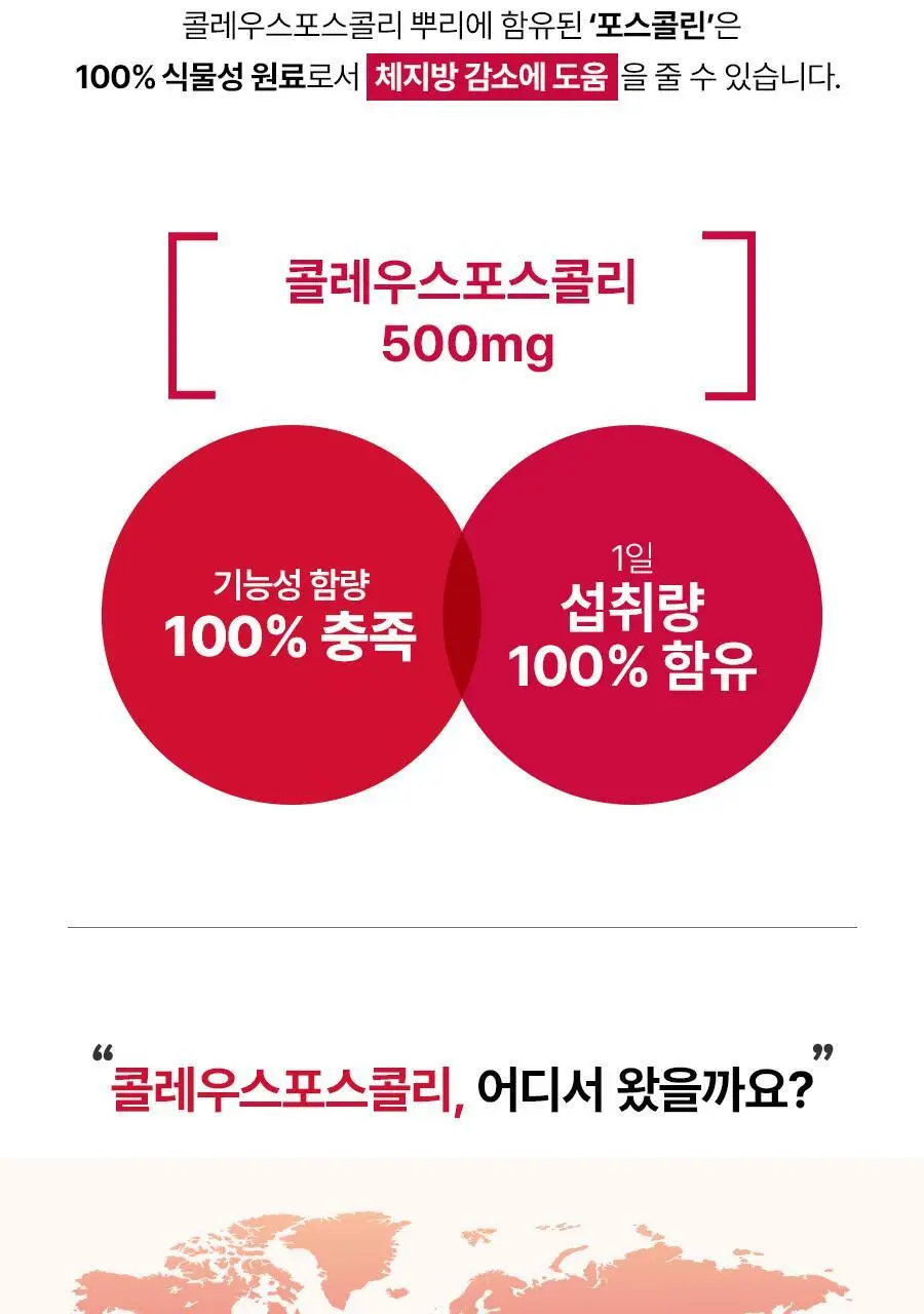 [헬로키티콜라보] 콜레올로지 PRO 600mg*30/60정 단품/기획(+키링증정) 상세페이지 31